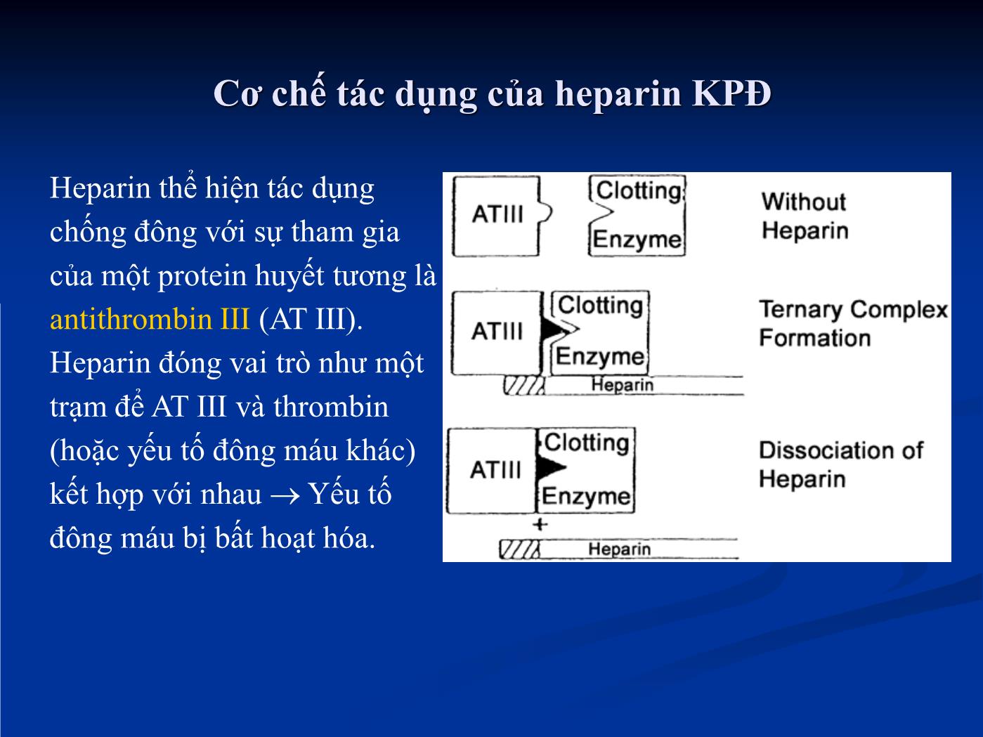 Bài giảng Điều trị chống huyết khối trong các bệnh lý tim mạch - Hồ Huỳnh Quang Trí trang 9