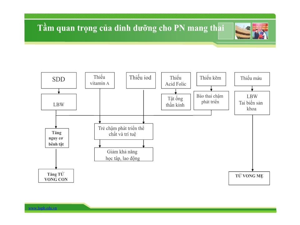 Bài giảng Dinh dưỡng cho phụ nữ mang thai và nuôi con bú - Trường Đại học Y tế công cộng trang 4