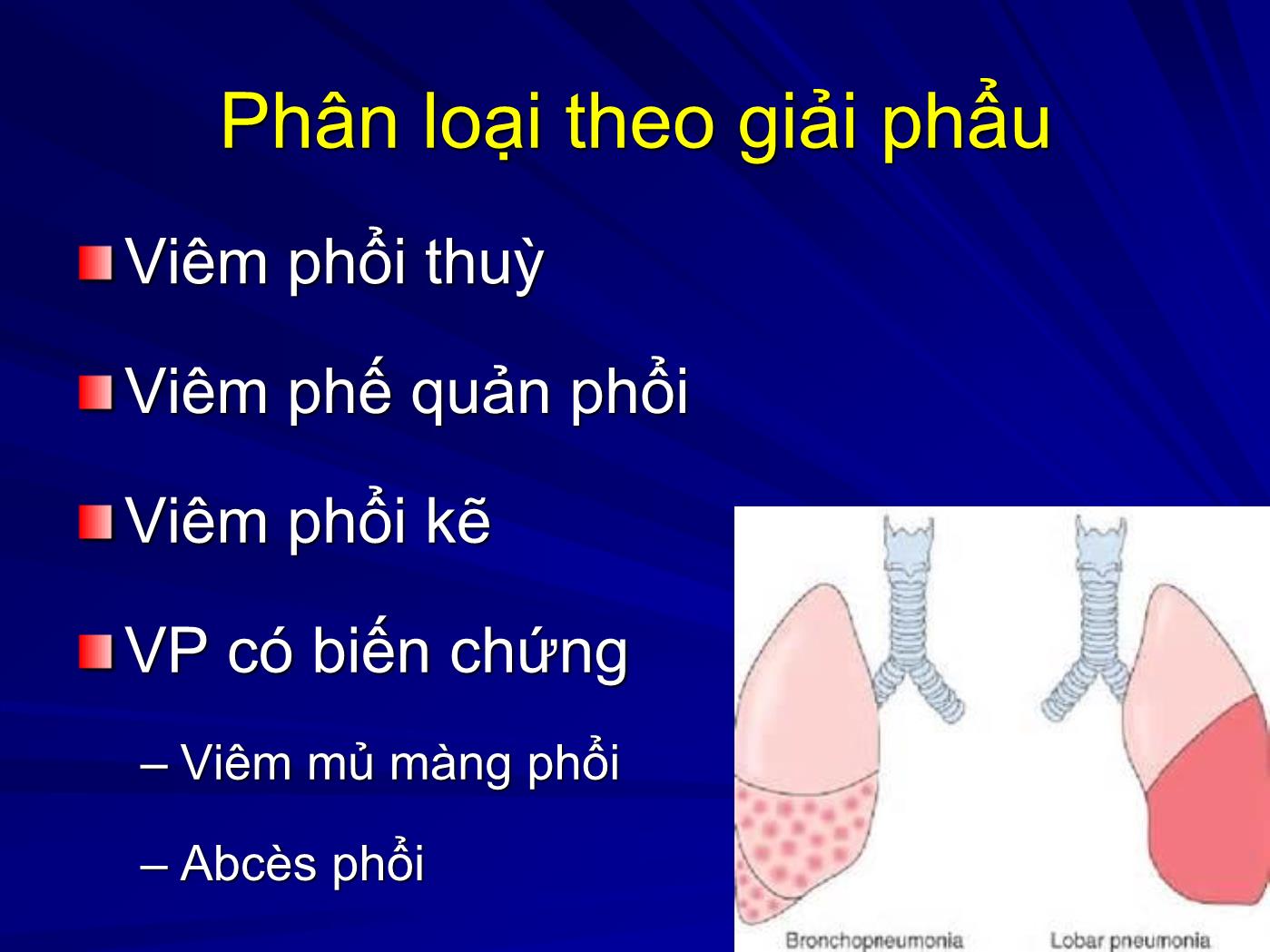 Bài giảng Viêm phổi - Trần Anh Tuấn trang 6