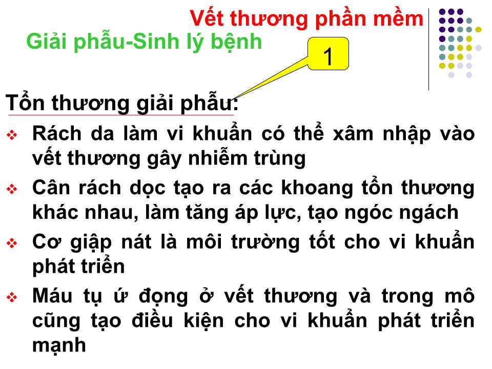 Bài giảng Xử lý vết thương - Trần Văn Thuyên trang 9