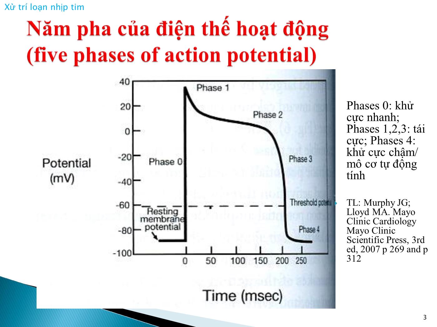 Bài giảng Xử trí loạn nhịp tim - Nguyễn Văn Vinh trang 3