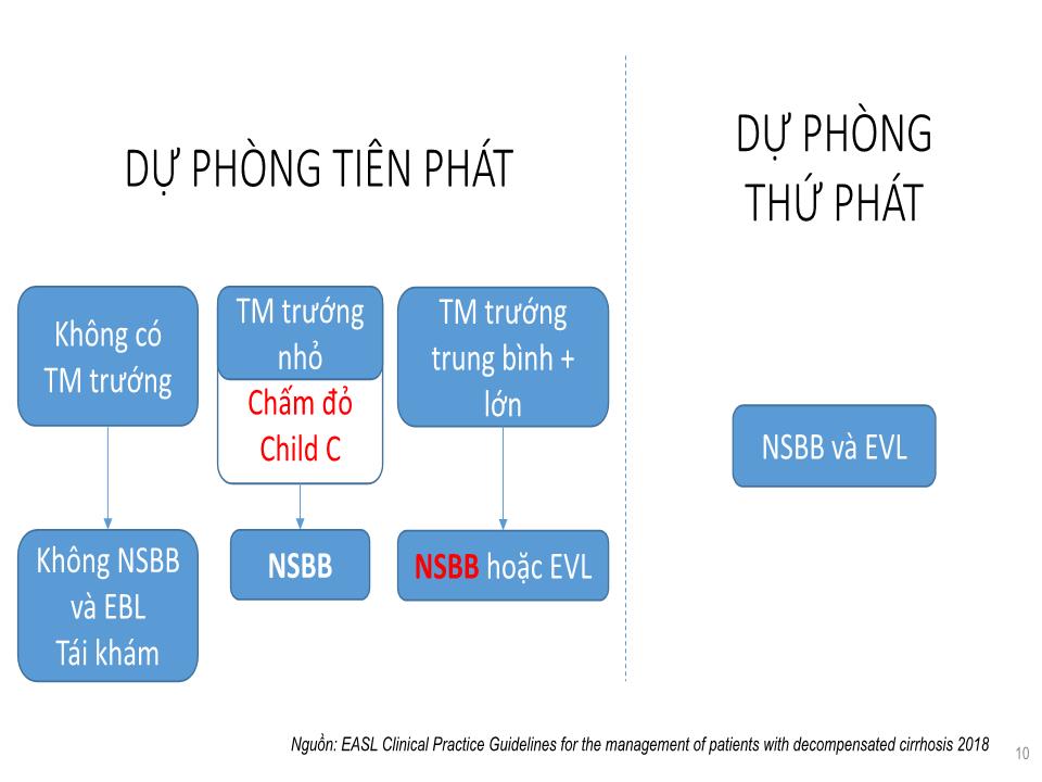 Chẹn beta ở bệnh nhân xơ gan trang 10