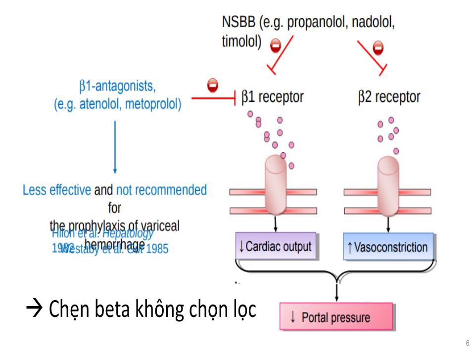 Chẹn beta ở bệnh nhân xơ gan trang 6