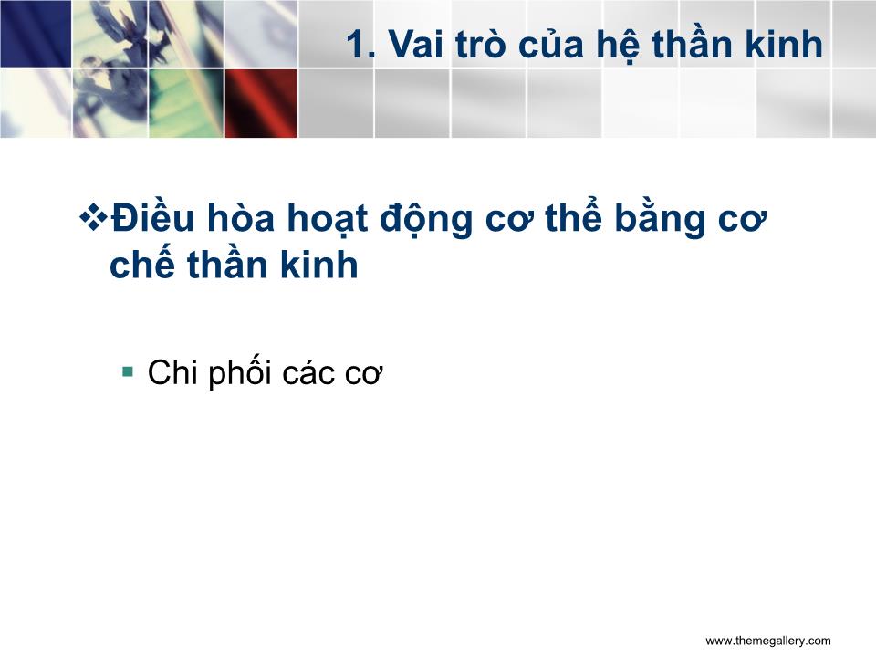 Bài giảng Tổ chức của hệ thần kinh - Nguyễn Trung Kiên trang 2