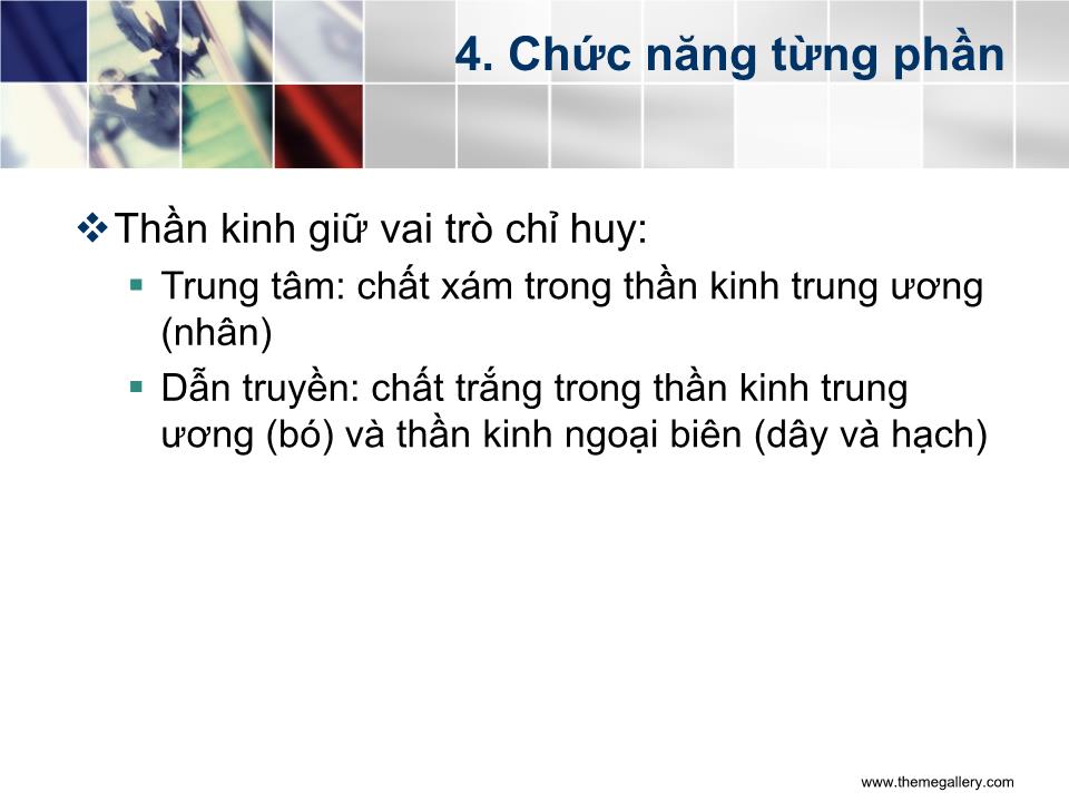 Bài giảng Tổ chức của hệ thần kinh - Nguyễn Trung Kiên trang 9