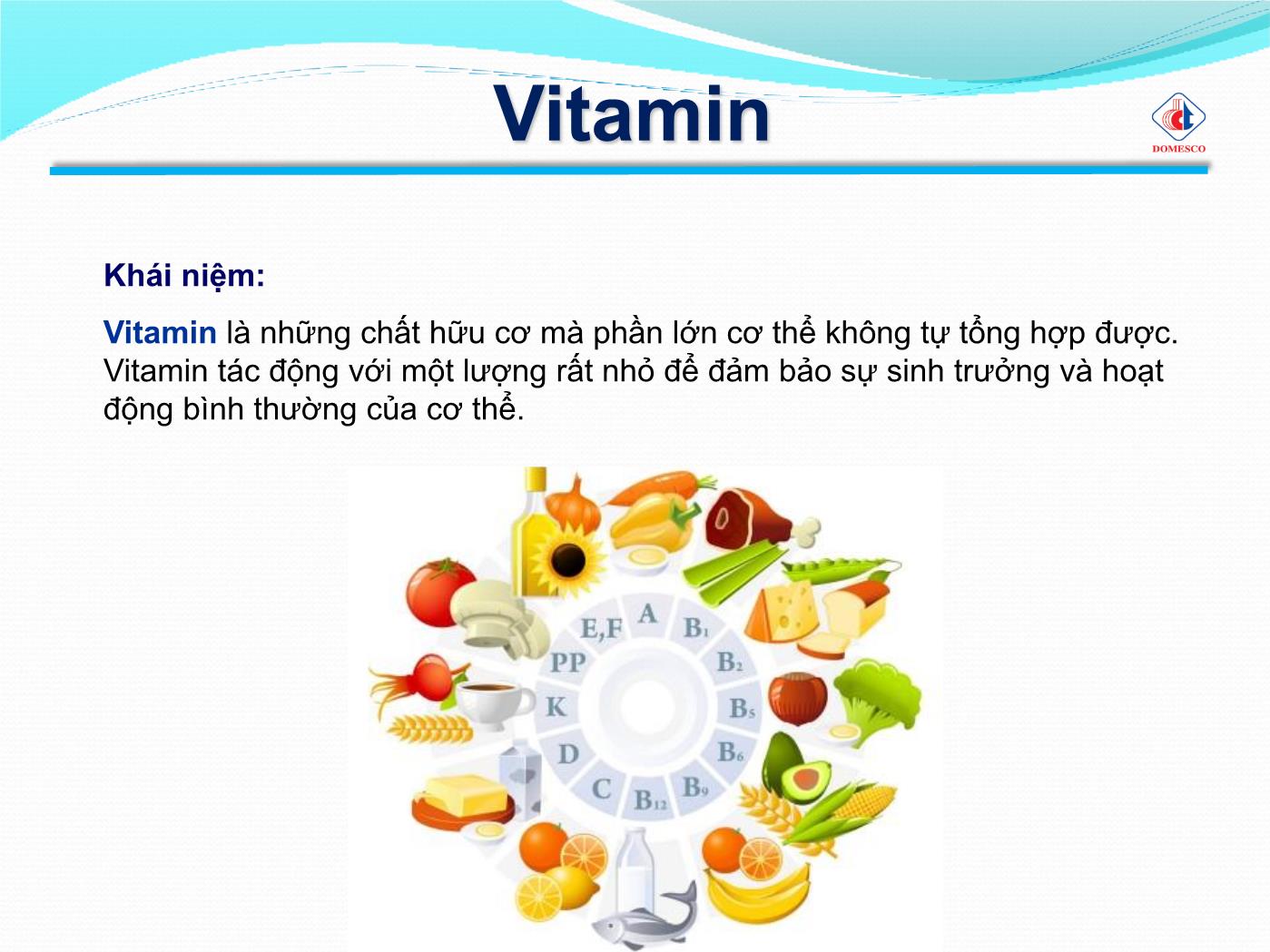 Bài giảng Vai trò của vitamin & khoáng chất - Phạm Thị Ngọc Điệp trang 2