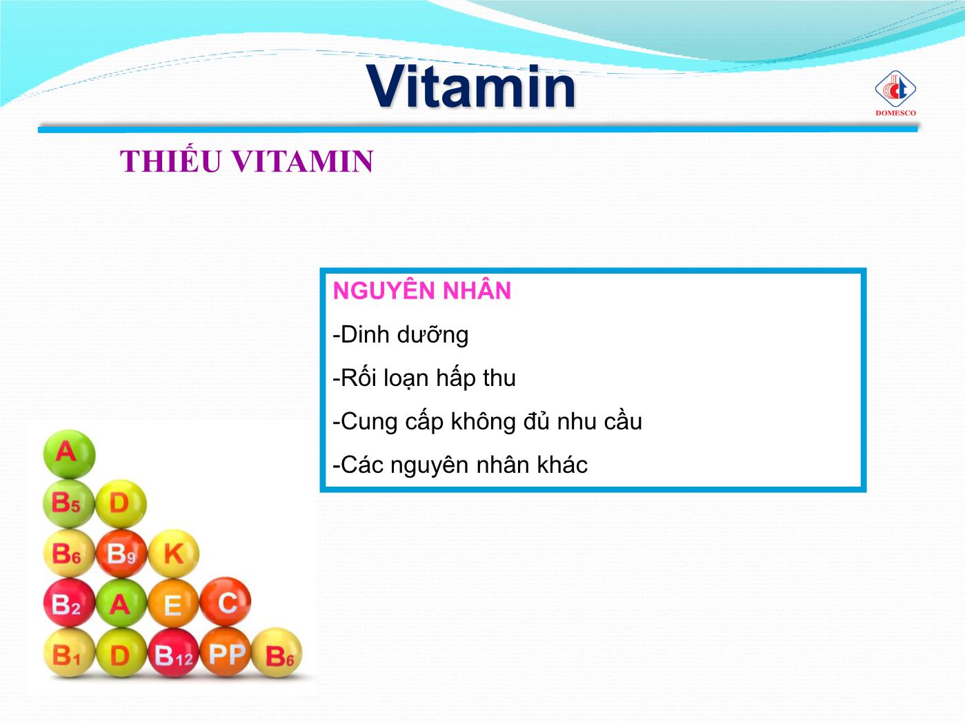 Bài giảng Vai trò của vitamin & khoáng chất - Phạm Thị Ngọc Điệp trang 4