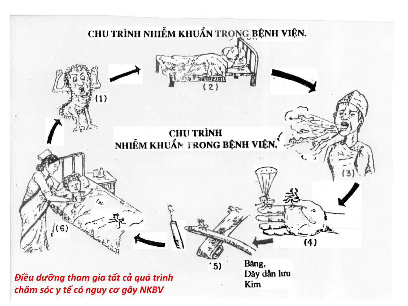 Bài giảng Vai trò của điều dưỡng trong thực hành kiểm soát nhiễm khuẩn - Nguyễn Bích Lưu trang 10