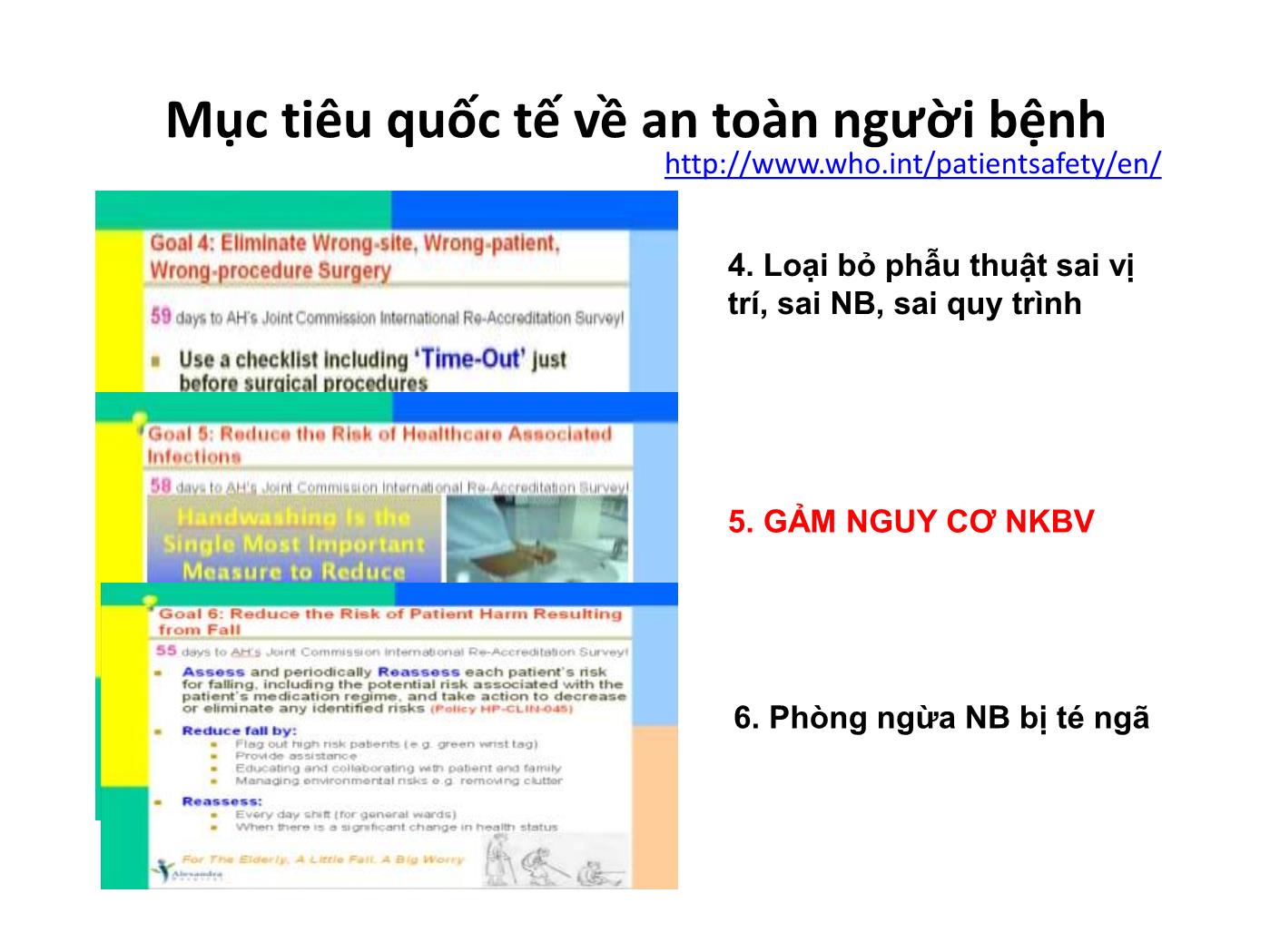 Bài giảng Vai trò của điều dưỡng trong thực hành kiểm soát nhiễm khuẩn - Nguyễn Bích Lưu trang 5