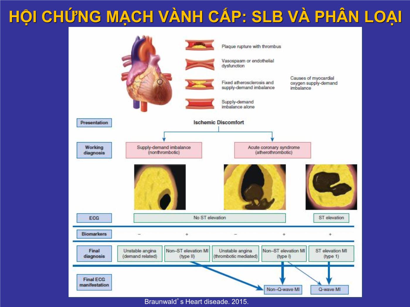 Thực hành sử dụng Hs-TROPONIN trong chẩn đoán hội chứng mạch vành cấp - Nguyễn Thanh Hiền trang 10