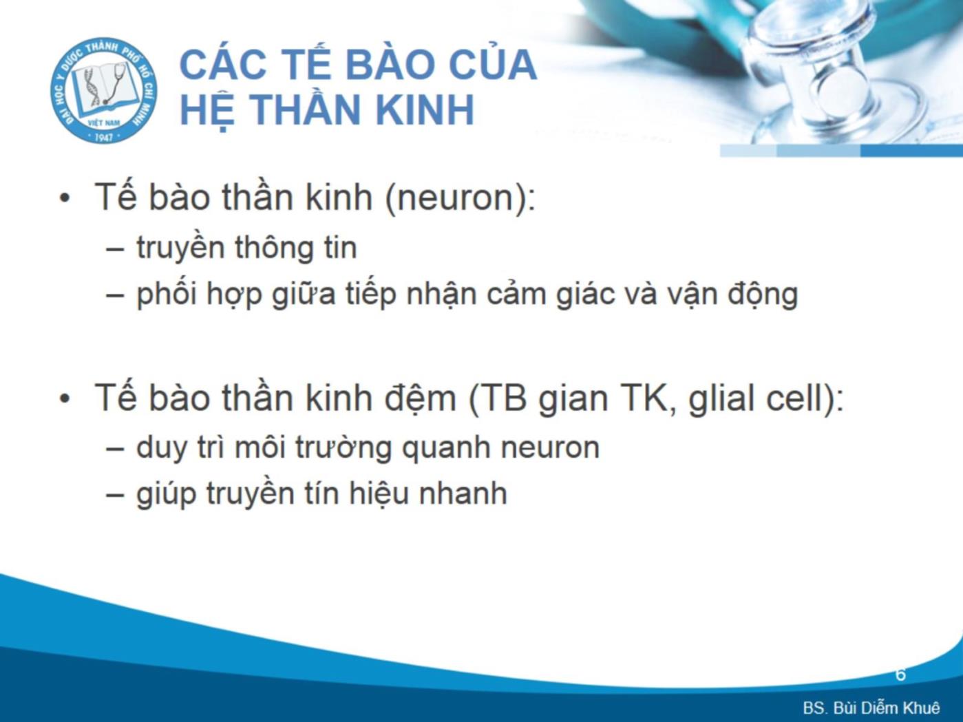 Bài giảng Cấu trúc và chức năng của hệ thần kinh - Bùi Diễm Khuê trang 6