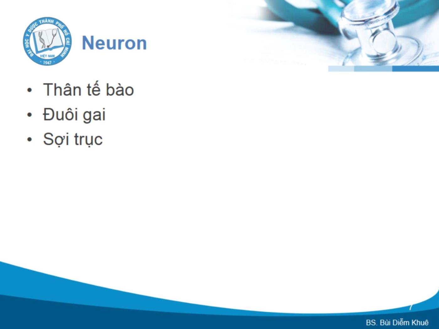 Bài giảng Cấu trúc và chức năng của hệ thần kinh - Bùi Diễm Khuê trang 7