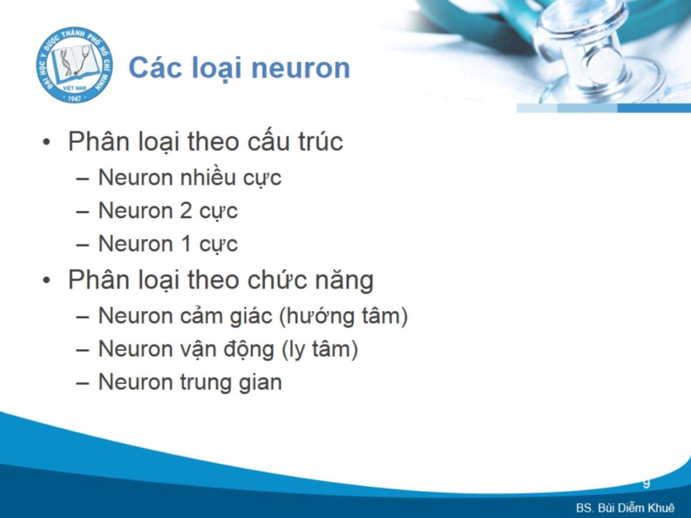 Bài giảng Cấu trúc và chức năng của hệ thần kinh - Bùi Diễm Khuê trang 9