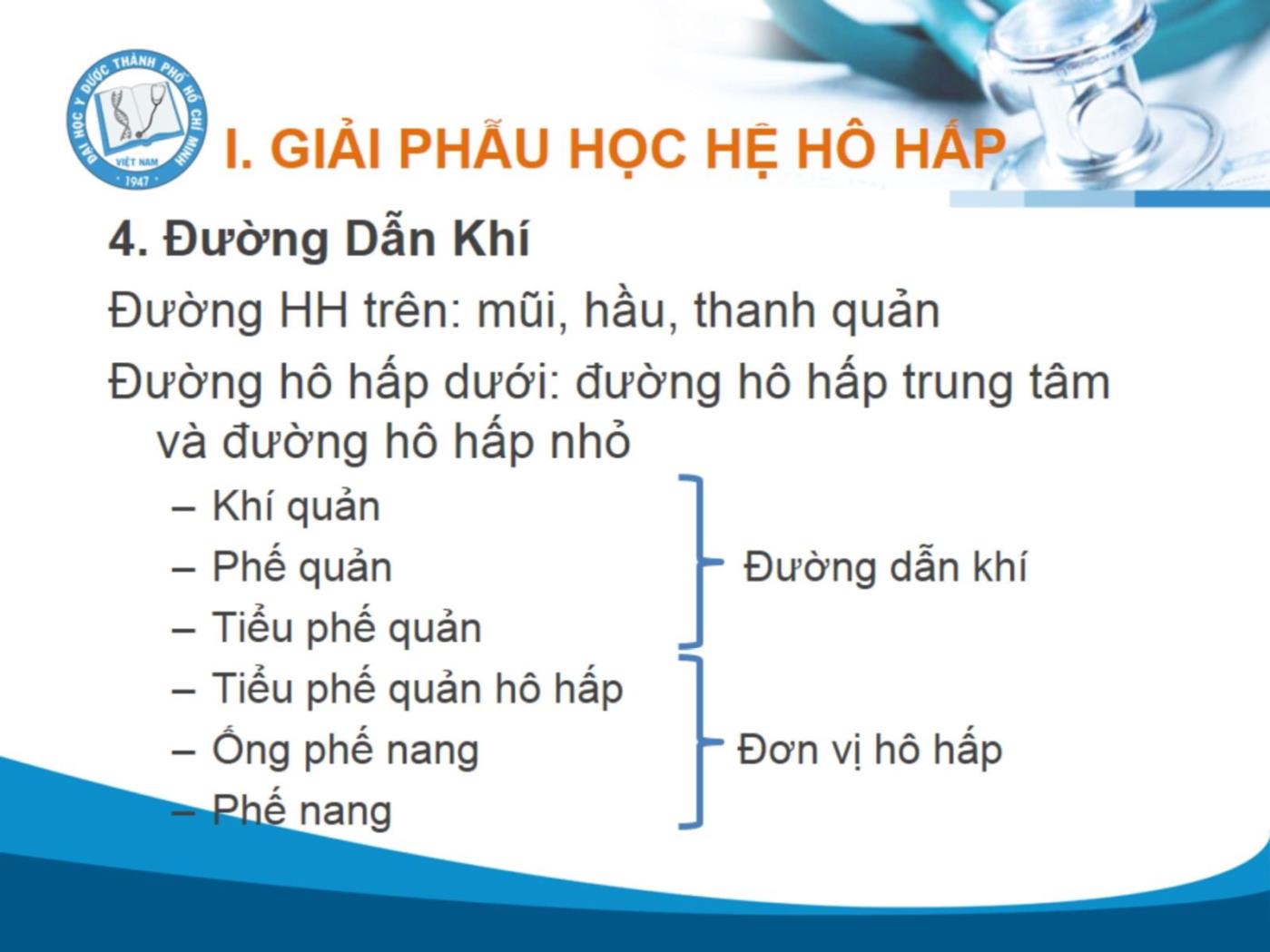 Bài giảng Sinh lý hô hấp - Vũ Trần Thiên Quân trang 8