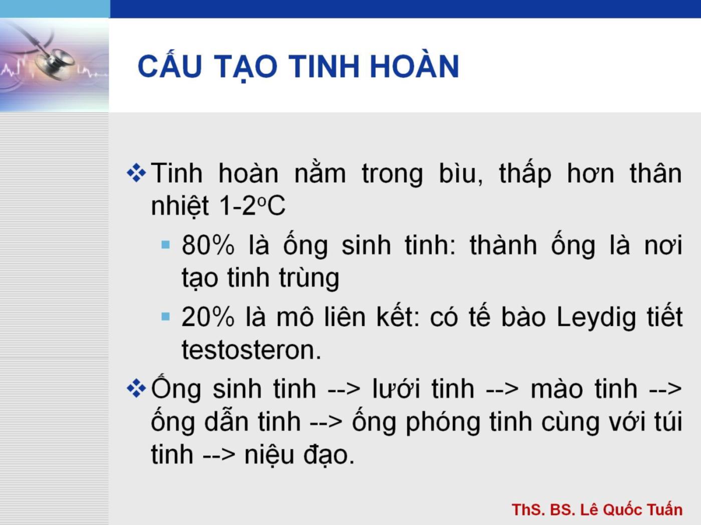 Bài giảng Hệ sinh sản - Lê Quốc Tuấn trang 5