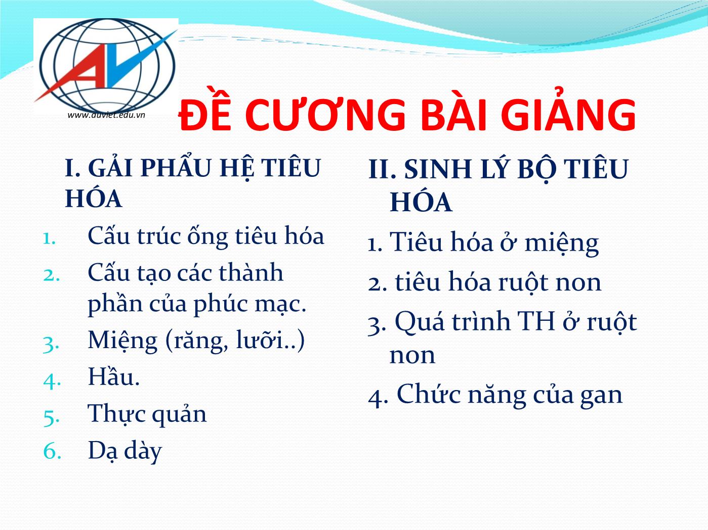 Bài giảng Giải phẫu & sinh lý hệ tiêu hóa - Huỳnh Thị Minh Tâm trang 2