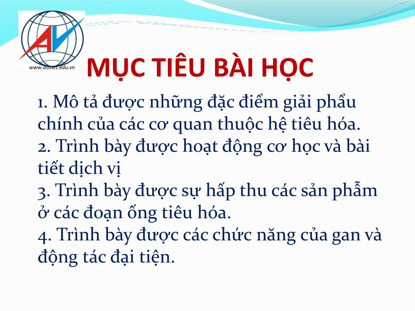 Bài giảng Giải phẫu & sinh lý hệ tiêu hóa - Huỳnh Thị Minh Tâm trang 3