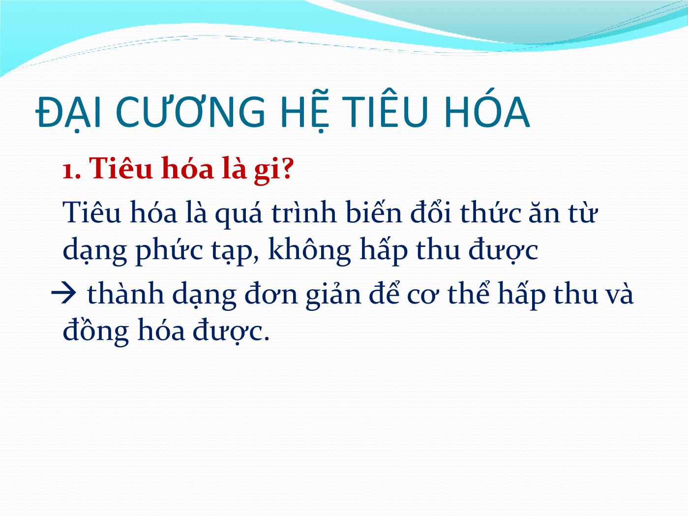 Bài giảng Giải phẫu & sinh lý hệ tiêu hóa - Huỳnh Thị Minh Tâm trang 6