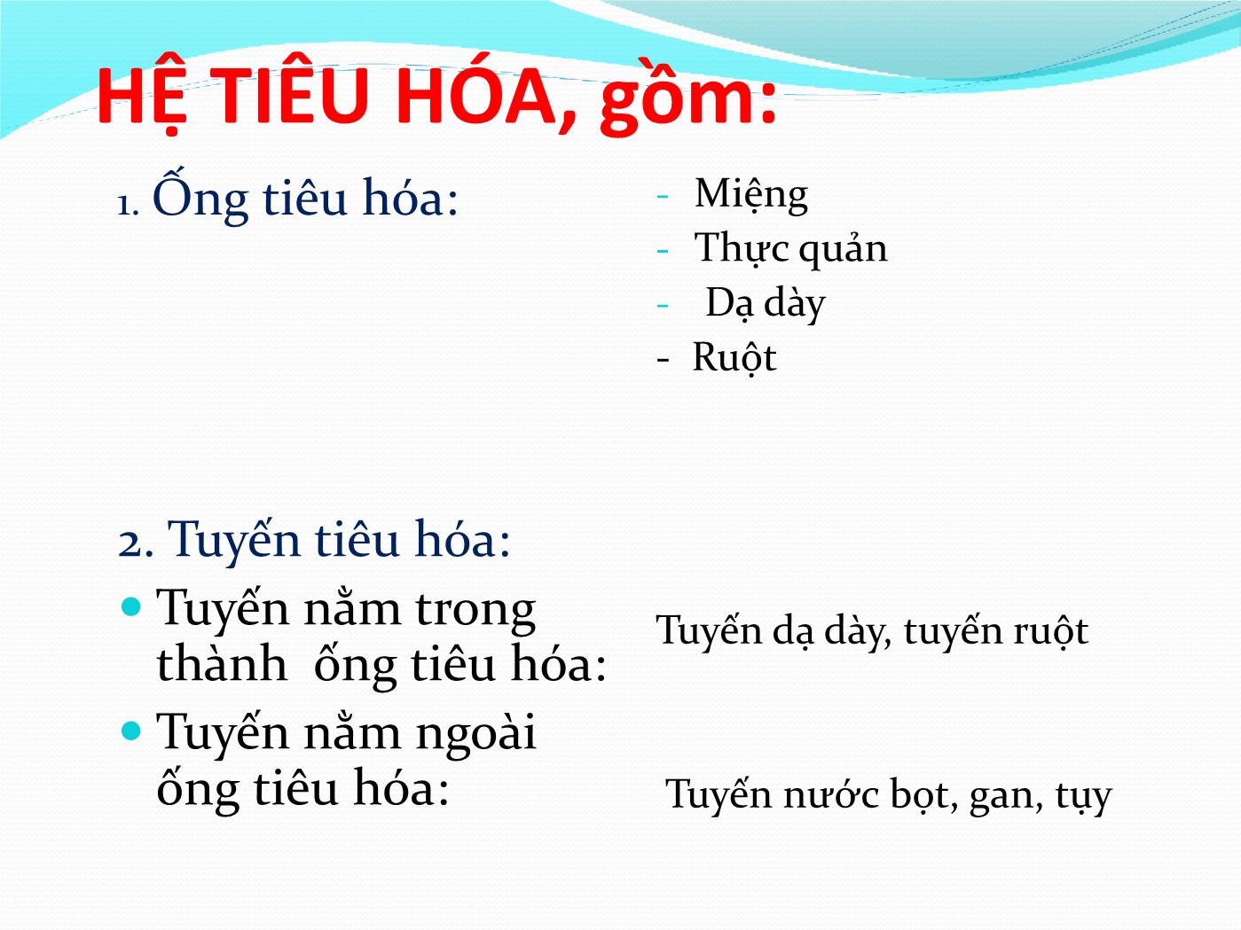 Bài giảng Giải phẫu & sinh lý hệ tiêu hóa - Huỳnh Thị Minh Tâm trang 7