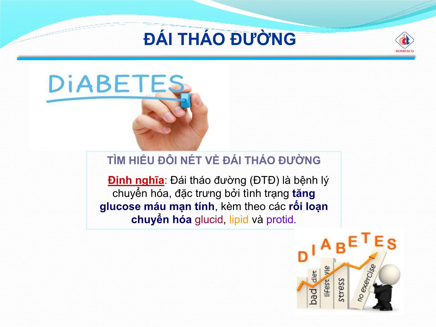 Bài giảng Insulin và đường huyết - Phạm Thị Ngọc Điệp trang 3