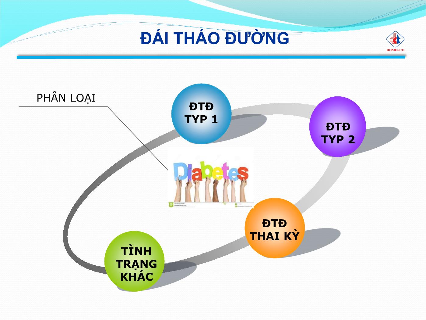 Bài giảng Insulin và đường huyết - Phạm Thị Ngọc Điệp trang 5