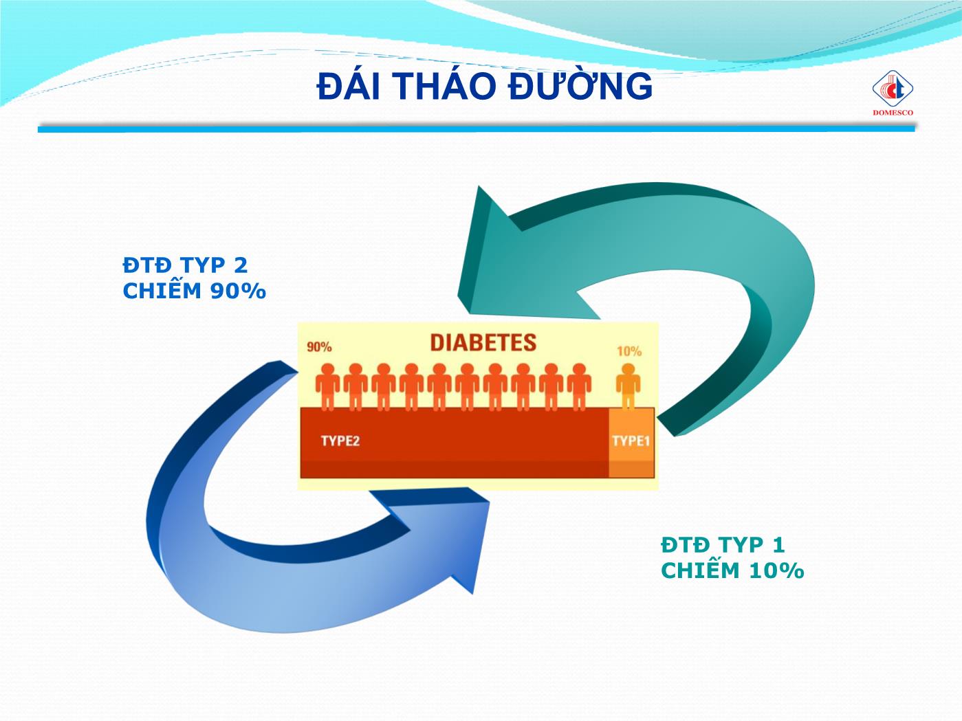 Bài giảng Insulin và đường huyết - Phạm Thị Ngọc Điệp trang 7