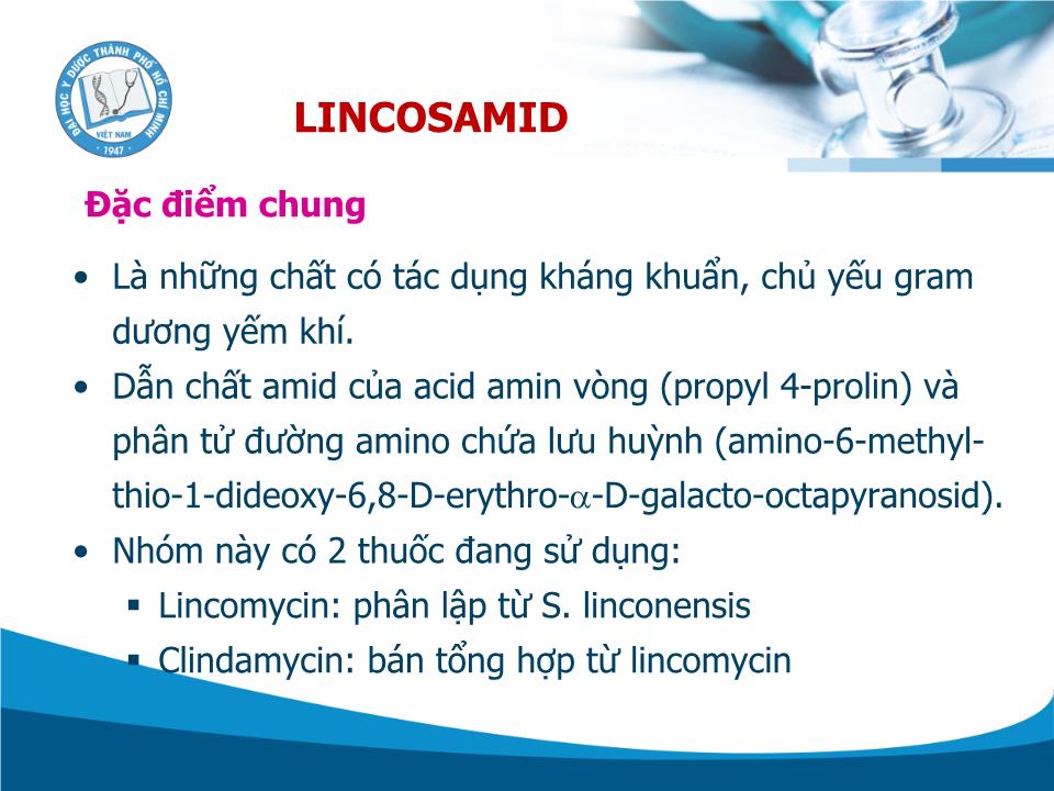 Kháng sinh Lincosamid - Trần Thành Đạo trang 3