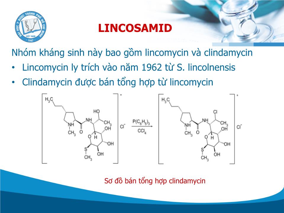 Kháng sinh Lincosamid - Trần Thành Đạo trang 5