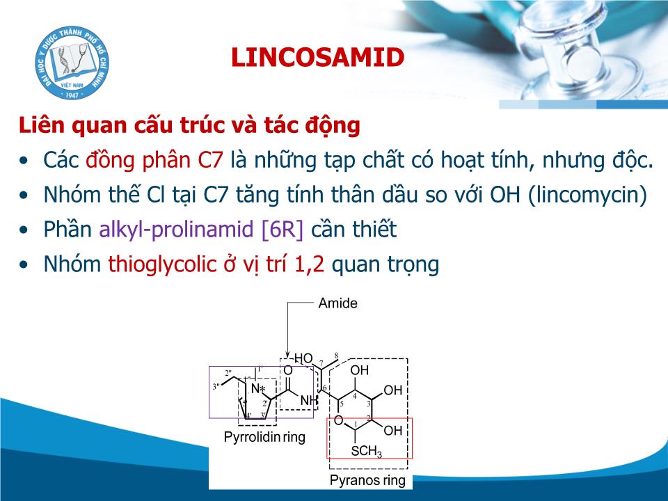 Kháng sinh Lincosamid - Trần Thành Đạo trang 7