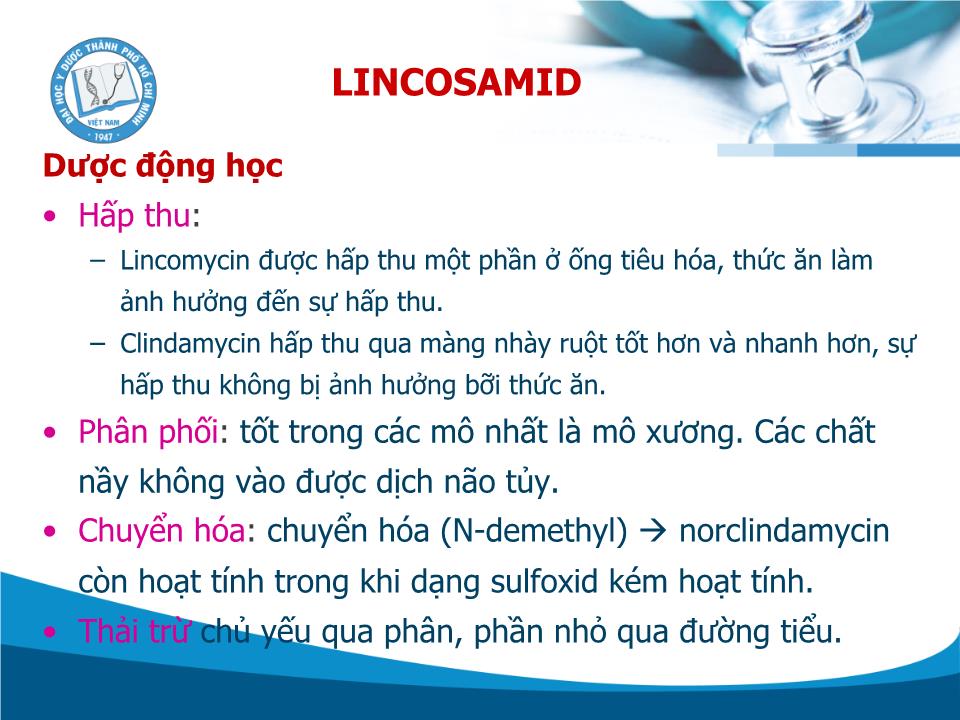 Kháng sinh Lincosamid - Trần Thành Đạo trang 8