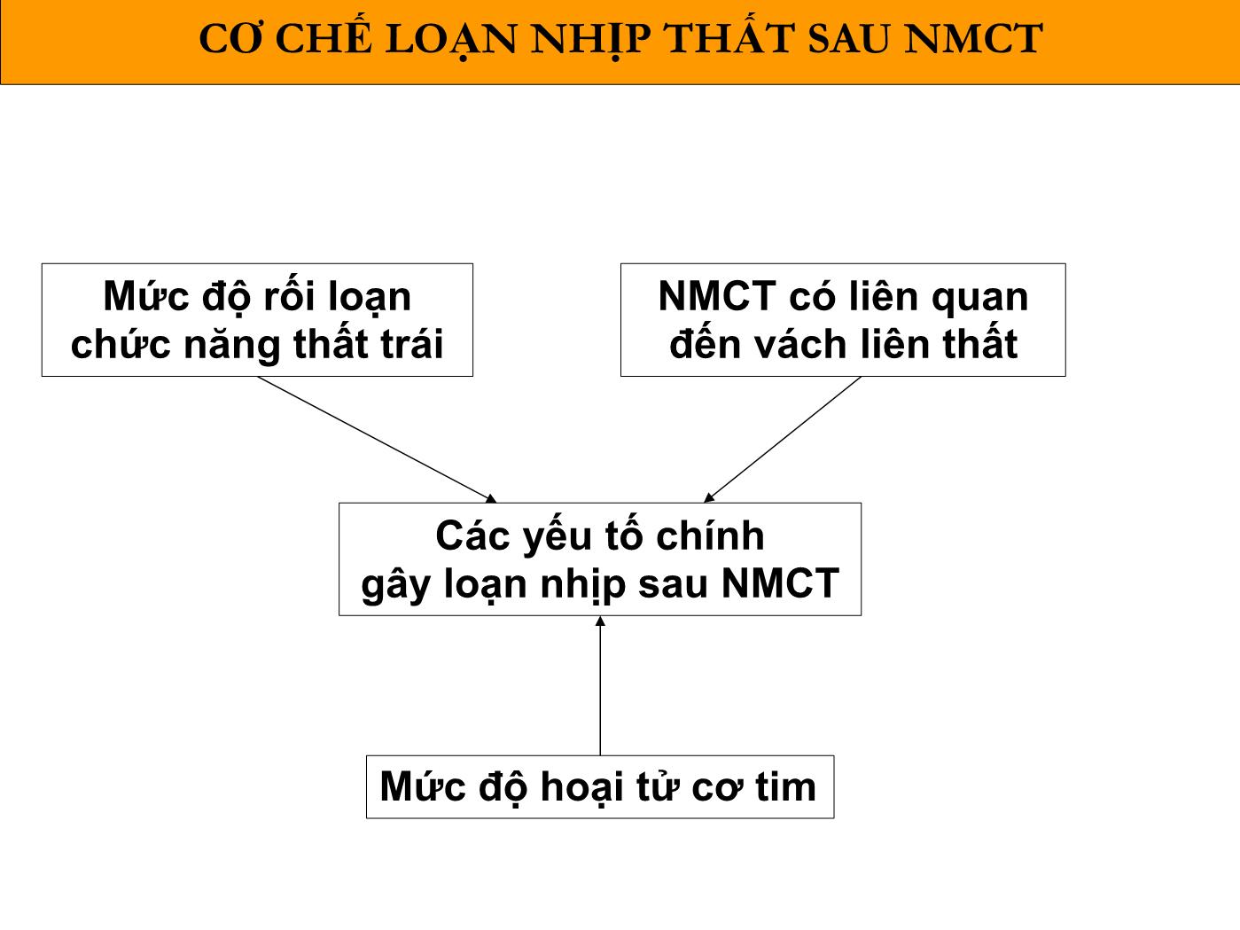 Bài giảng Loạn nhịp thất sau nhồi máu cơ tim - Phạm Trường Sơn trang 3