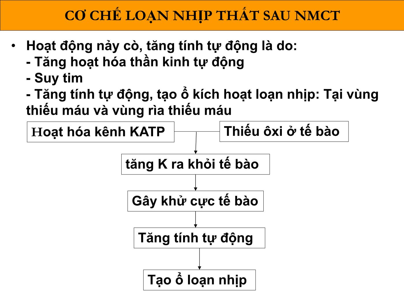 Bài giảng Loạn nhịp thất sau nhồi máu cơ tim - Phạm Trường Sơn trang 4