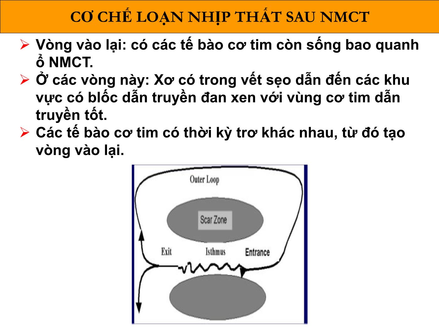 Bài giảng Loạn nhịp thất sau nhồi máu cơ tim - Phạm Trường Sơn trang 5