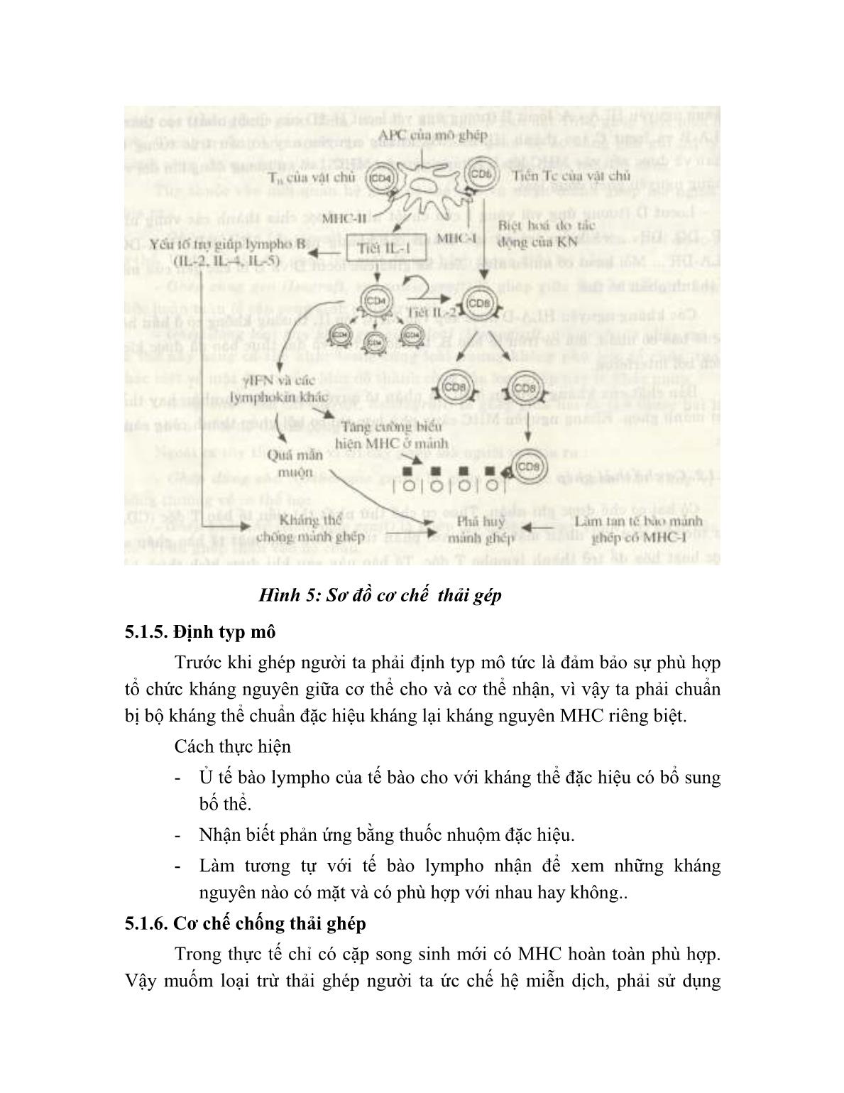 Giáo trình Sinh hoá miễn dịch (Phần 2) - Nguyễn Thị Lan trang 4