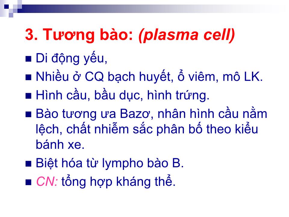 Bài giảng Mô liên kết - Trần Kim Thương trang 10