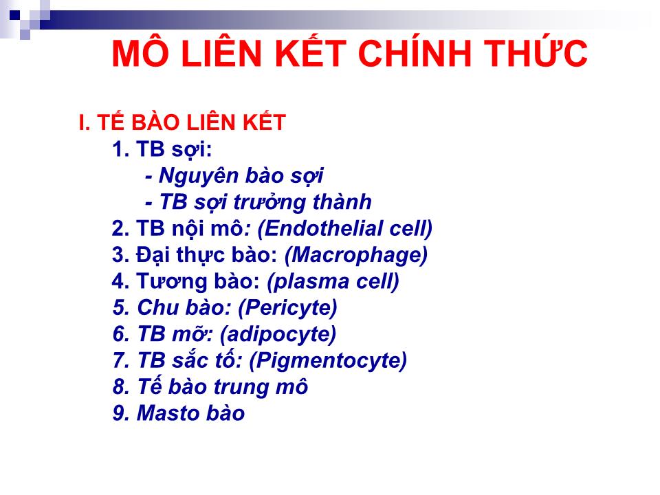 Bài giảng Mô liên kết - Trần Kim Thương trang 4