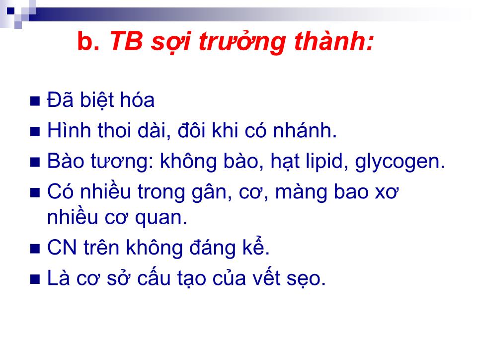 Bài giảng Mô liên kết - Trần Kim Thương trang 7