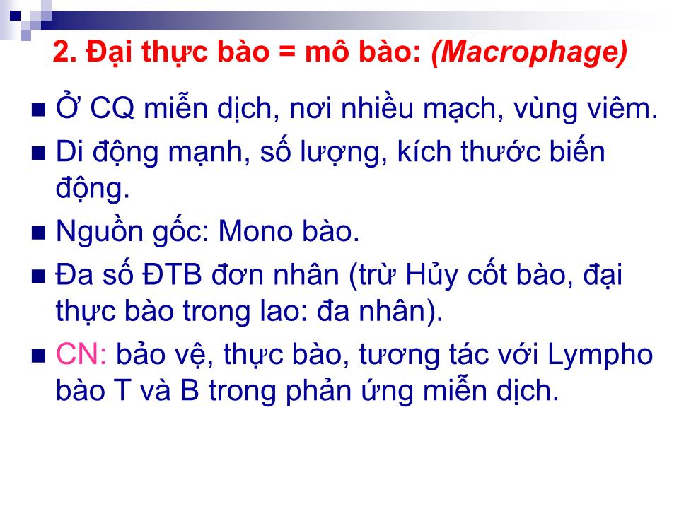 Bài giảng Mô liên kết - Trần Kim Thương trang 8