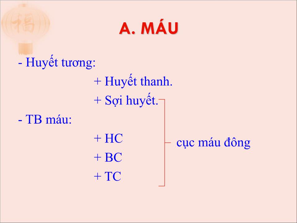 Bài giảng Mô máu và bạch huyết - Trần Kim Thương trang 4