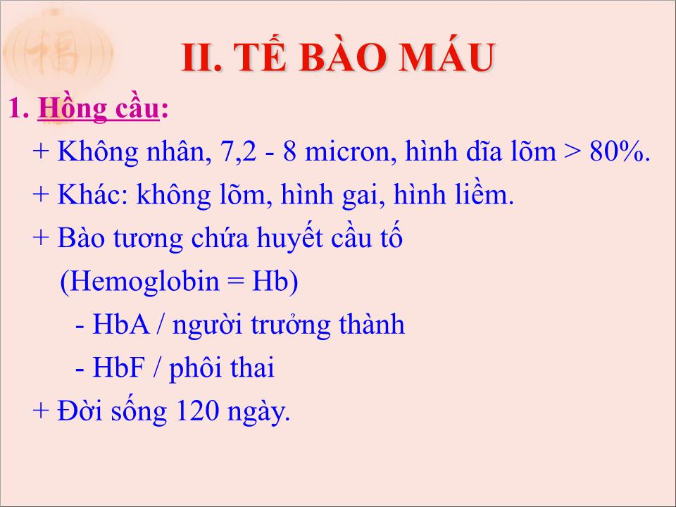 Bài giảng Mô máu và bạch huyết - Trần Kim Thương trang 6