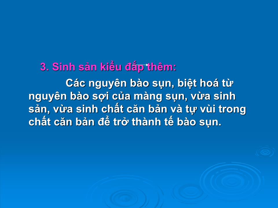 Bài giảng Mô sun - Trần Kim Thương trang 10