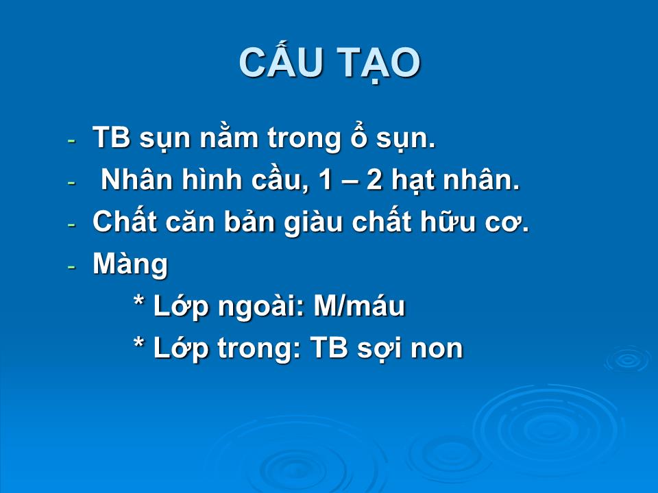 Bài giảng Mô sun - Trần Kim Thương trang 3