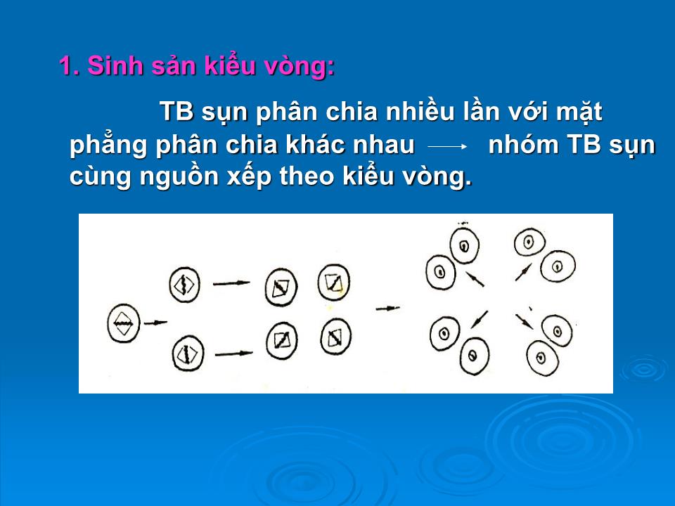 Bài giảng Mô sun - Trần Kim Thương trang 8