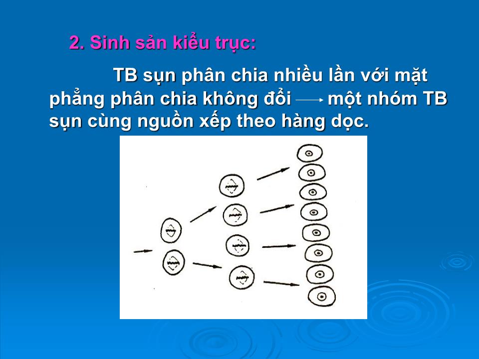 Bài giảng Mô sun - Trần Kim Thương trang 9