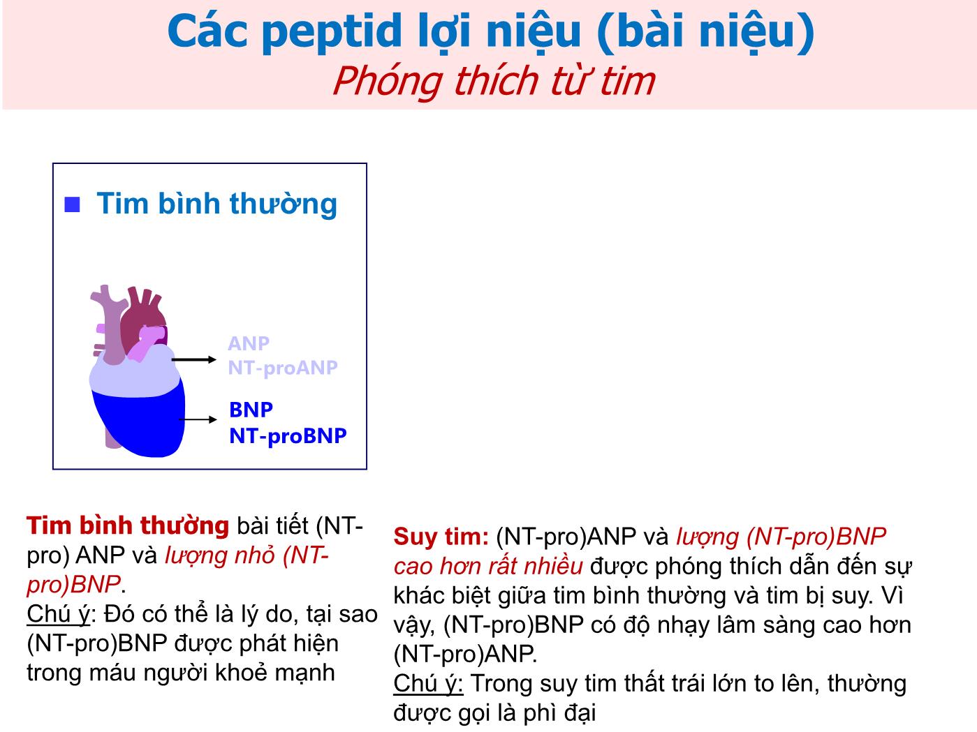 Ứng dụng NT-proBNP trong chẩn đoán suy tim - Hồ Thượng Dũng trang 3