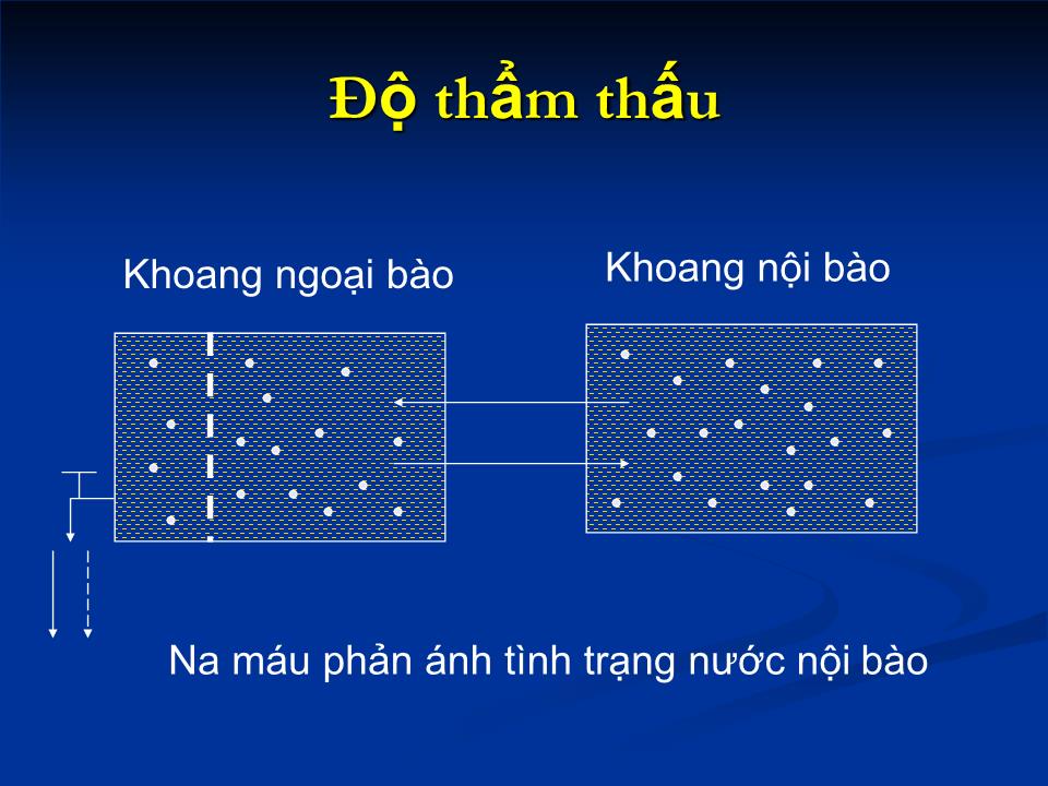 Bài giảng Cân bằng nước – điện giải - Nguyễn Thị Thanh trang 9