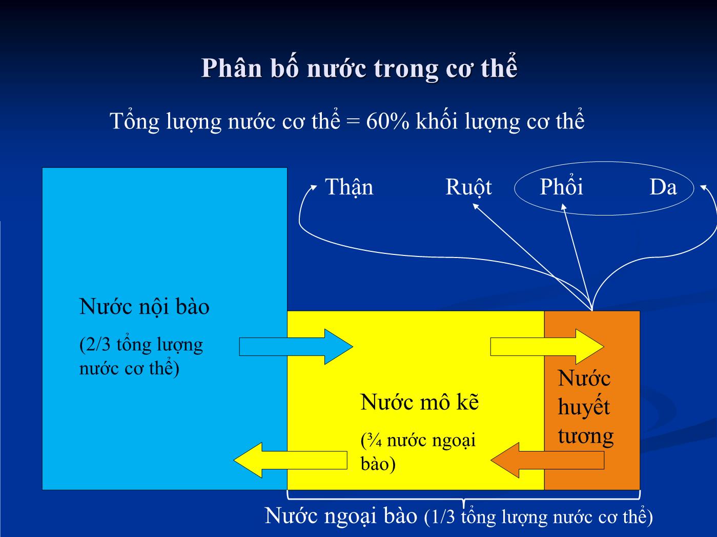 Bài giảng Sử dụng dịch truyền để tăng thể tích tuần hoàn - Hồ Huỳnh Quang Trí trang 4