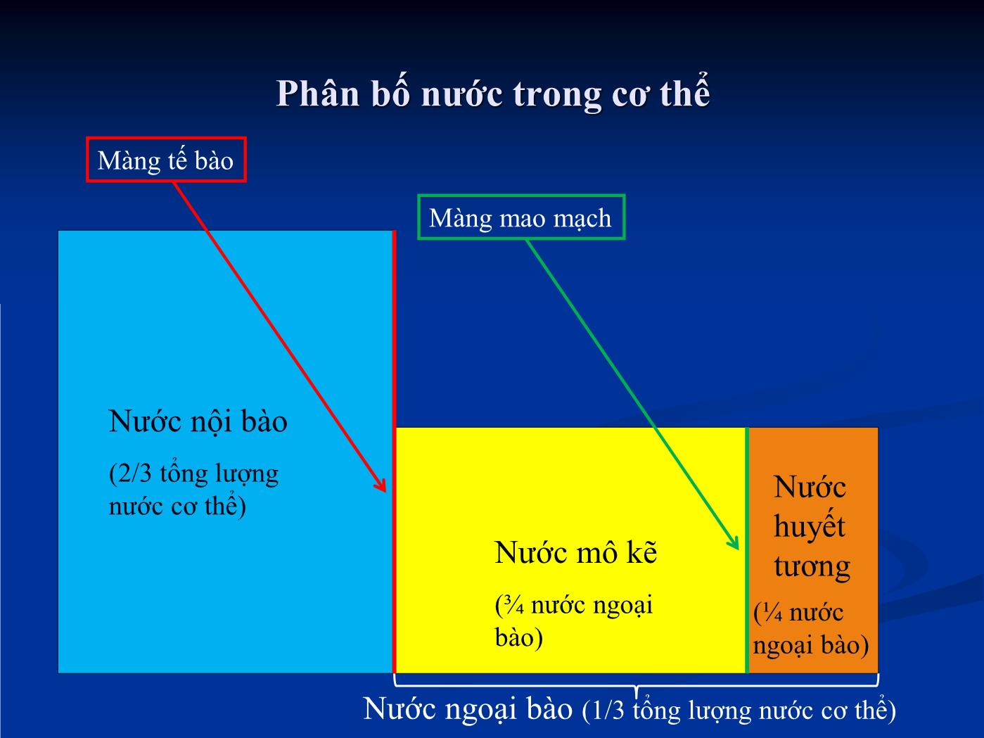 Bài giảng Sử dụng dịch truyền để tăng thể tích tuần hoàn - Hồ Huỳnh Quang Trí trang 5