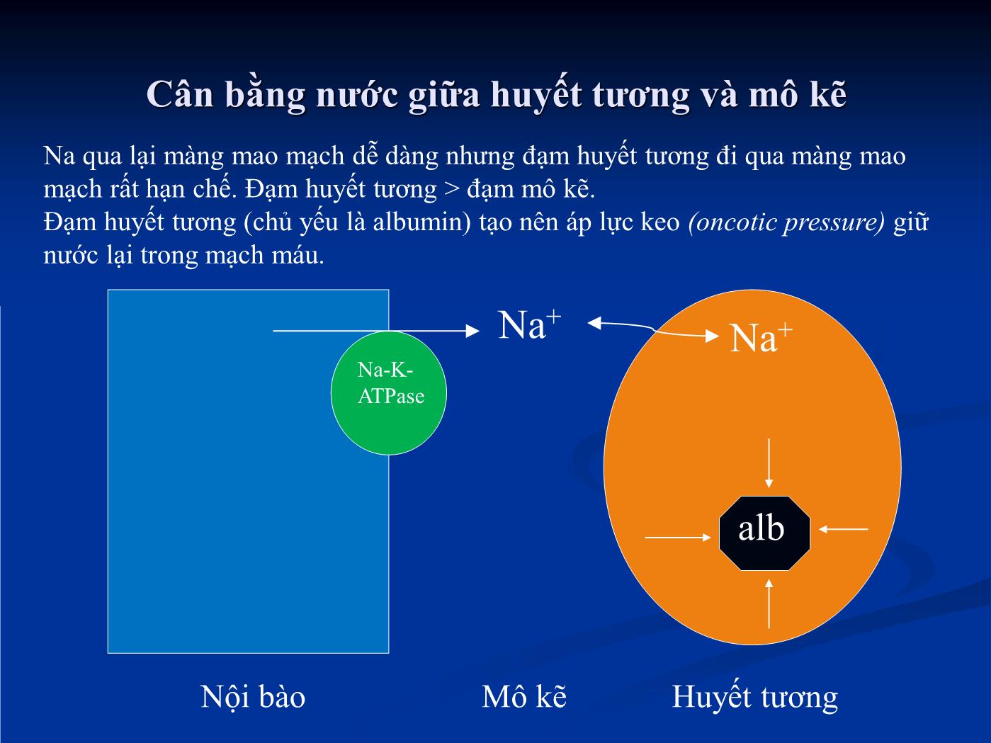 Bài giảng Sử dụng dịch truyền để tăng thể tích tuần hoàn - Hồ Huỳnh Quang Trí trang 9