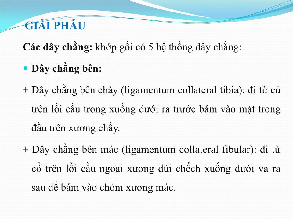 Bài giảng Vật lý trị liệu phục hồi chức năng thoái hóa khớp gối - Cầm Bá Thức trang 10